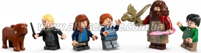  LEGO Harry Potter  :   896  (76428)