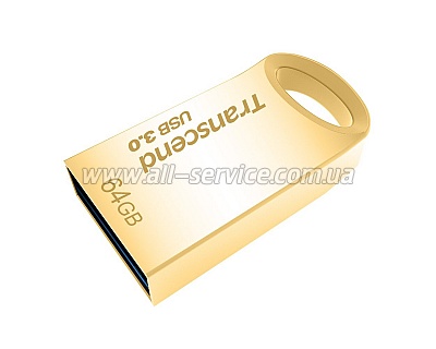  64GB Transcend JetFlash 710 Metal Gold (TS64GJF710G)