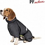  Pet Fashion 