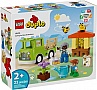 ����������� LEGO DUPLO Town ���� �� ������� � ������ 22 ������� (10419)