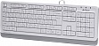 A4Tech FK10 White (4711421943024)