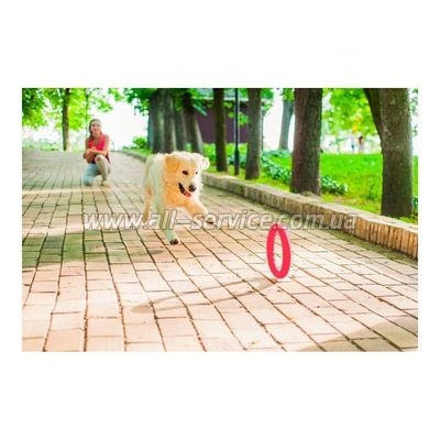 ������ ��� ����������� ��� ����� Collar PitchDog 17�� ������� (62367)