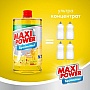      Maxi Power   1000  (4823098408444)