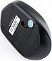  Vinga MSW-908 Silent Click blue