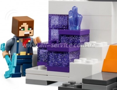  LEGO Minecraft      (21263)