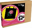 - Rosa ,   3842 (4823098539742)