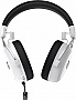 �������� GamePro Asgard Skald 4-Mode White (HSW160W)