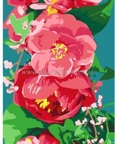    Rosa   35  45  (4823098525288)