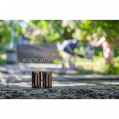  PANASONIC LR20 Alkaline Power 1x2 (LR20REB/2BP)