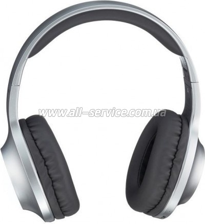  Panasonic RB-HX220BEE-S Gray (RB-HX220BEE-S)