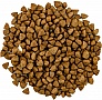     Savory Adult Cat Steril Fresh Lamb and Chicken 2  (4820232630112)