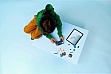 ����������� LEGO Creator ������� �����-������� (31380)