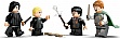  LEGO Harry Potter  :   (76441)