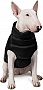  Pet Fashion 