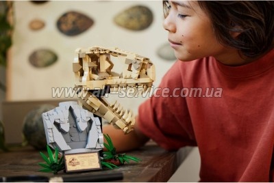  LEGO Jurassic World  :   577  (76964)