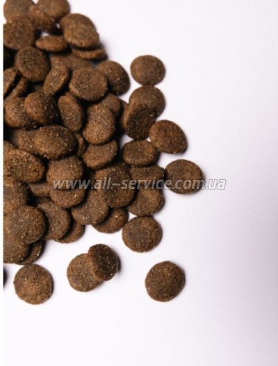     Savory Large Breeds rich in Fresh Turkey and Lamb 12 (4820232630242)