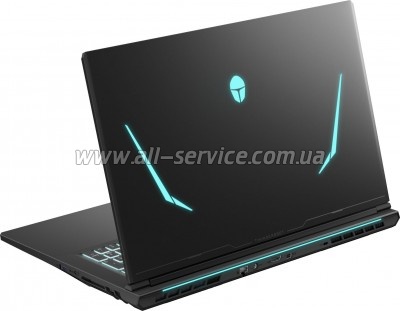  Thunderobot 911 X17 (911X17-i7136H56C1Q165MBD)