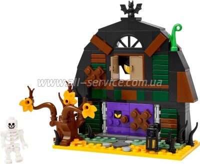  LEGO Iconic   (40721)