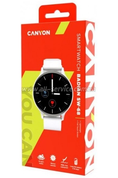 - Canyon CNS-SW68SS Badian Silver (CNS-SW68SS)