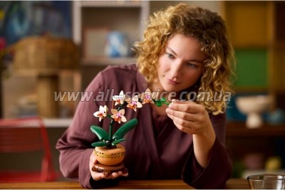 ����������� LEGO Botanicals ̳�� ������� (10343)