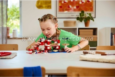  LEGO Minecraft   (21270)