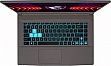  MSI Thin 15 B13UC (9S7-16R831-3038)