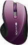  CANYON CNS-CMSW01P Wireless Purple/Black (CNS-CMSW01P)