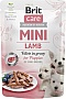     Brit Care Mini        (8595602560318)