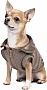  Pet Fashion Harry XS2 (4823082430109)