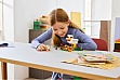 ����������� LEGO Minecraft ������ ����� (21585)