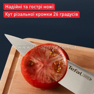 ����� ����� Tefal Ice Force 2�� (K232S224)
