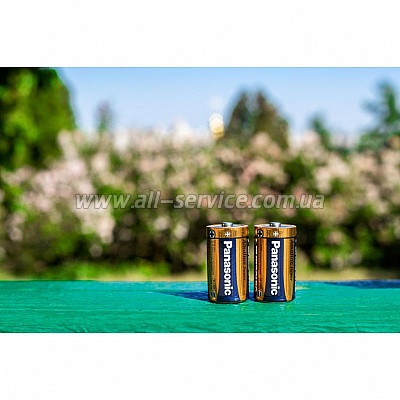  PANASONIC LR20 Alkaline Power 1x2 (LR20REB/2BP)
