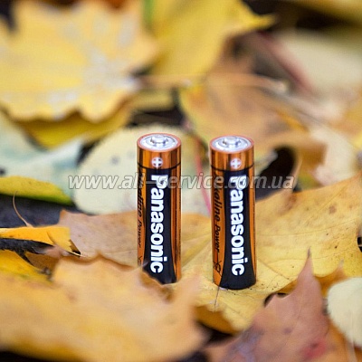  Panasonic LR06 Alkaline Power * 10 (LR6REB/10BW)
