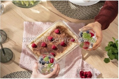 ������� ��������� Tefal Masterseal Glass Red 2� (N1041110)