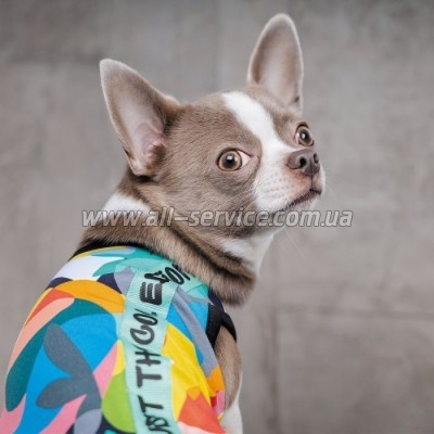  Pet Fashion Cool M  (4823082420193)