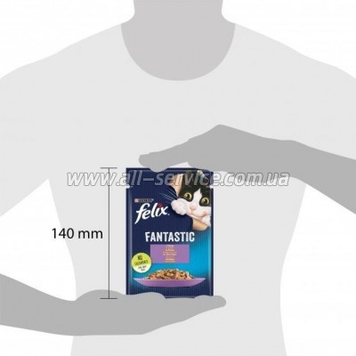     Purina Felix Fantastic     85  (7613039838969)