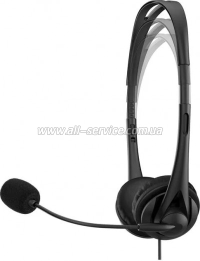  HP Stereo G2 USB Black (428H5AA)
