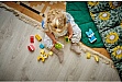 ����������� LEGO DUPLO My First ������ ������ ������� ��������� 3 � 1 (10477-)
