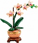 ����������� LEGO Botanicals ̳�� ������� (10343)