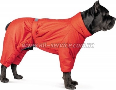  Pet Fashion Cold M  (4823082426119)