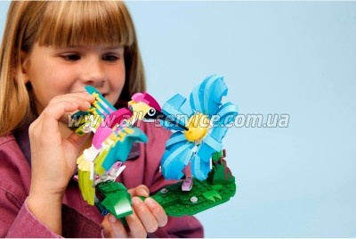 ����������� LEGO Creator ��� �������: ��������� ����� (31384)