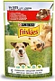     Purina Friskies       100  (7613035800823)