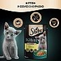     Sheba       85  (4770608264567)