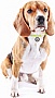    WAUDOG Smart ID  42-76   (60398)