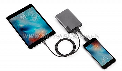 ������� ����������� Belkin 6600mAh (F8M992BTGRY)