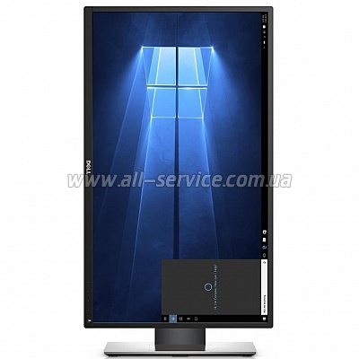  DELL 23.8" P2417H (210-AJEX)