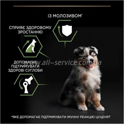     Purina Pro Plan Dog Medium Puppy     12 (7613035120402)