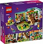 ����������� LEGO Friends ������� ���� (42646)