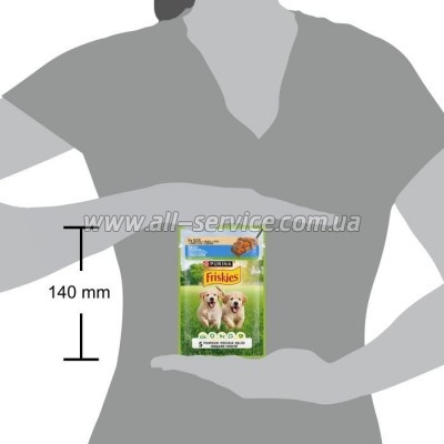     Purina Friskies Junior       100  (7613035800861)