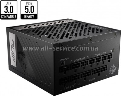   MSI 1000W (MPG A1000G PCIE5)